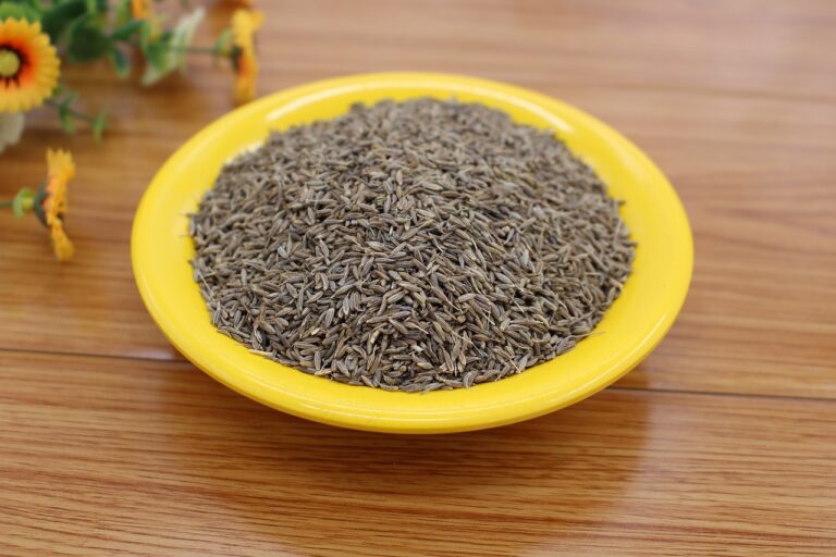 cumin, dried seeds, condiment-6152146.jpg